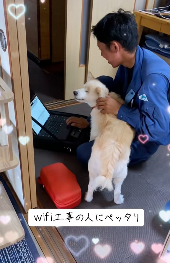 嬉しそうなモップさん