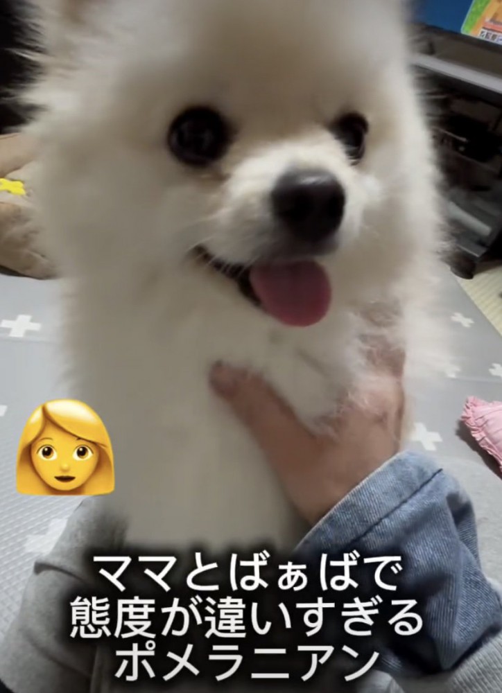 ママに撫でられ中