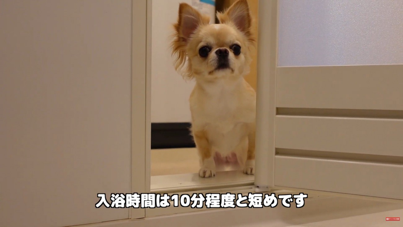 「早く上がって！」と催促