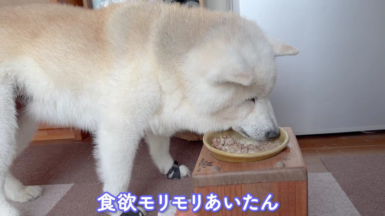 食欲も旺盛♪