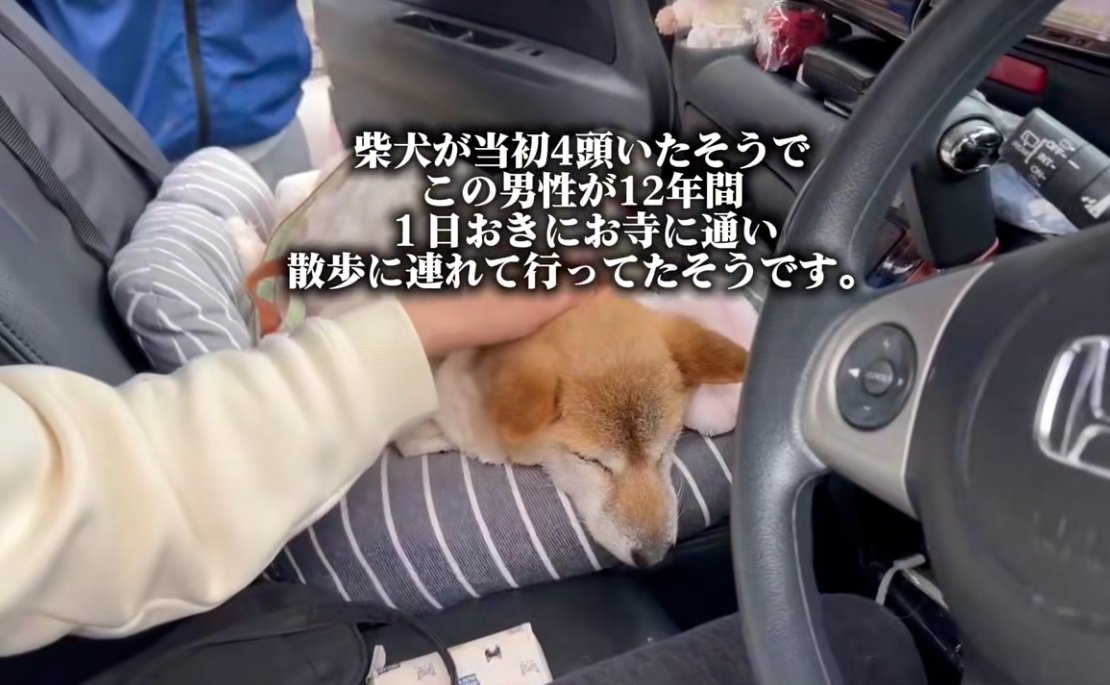 撫でられるクッキーちゃん%年もの間、男性がお世話をしていました