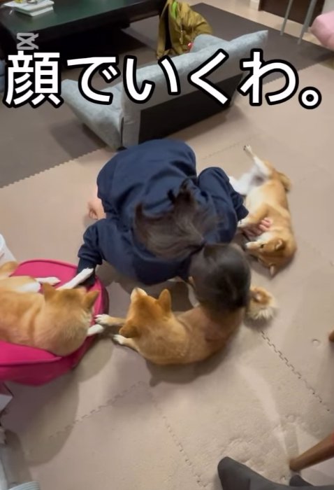 顔で撫でる次女