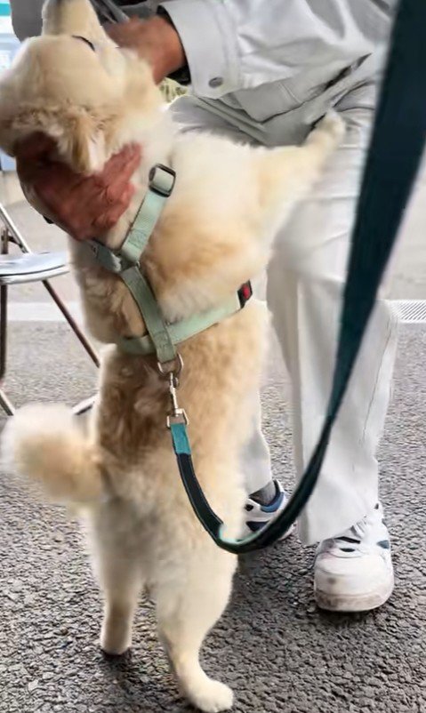 全身で好きアピール