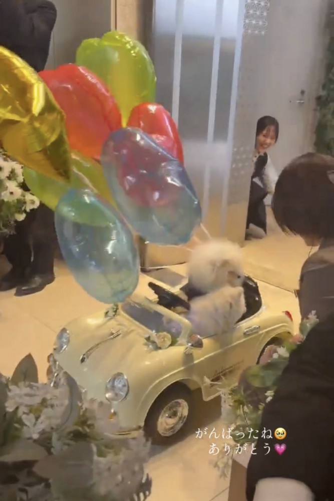 扉の近くに戻ってきた2匹の犬