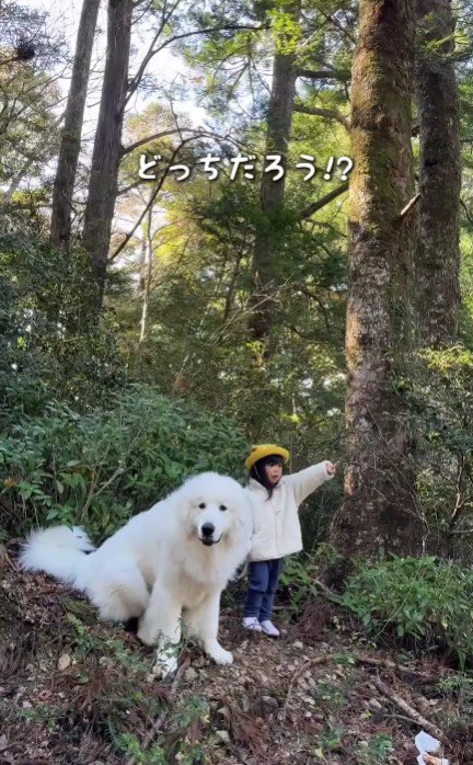 支え合う2人でした