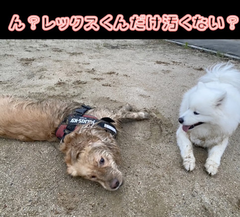 お友達は綺麗なまま