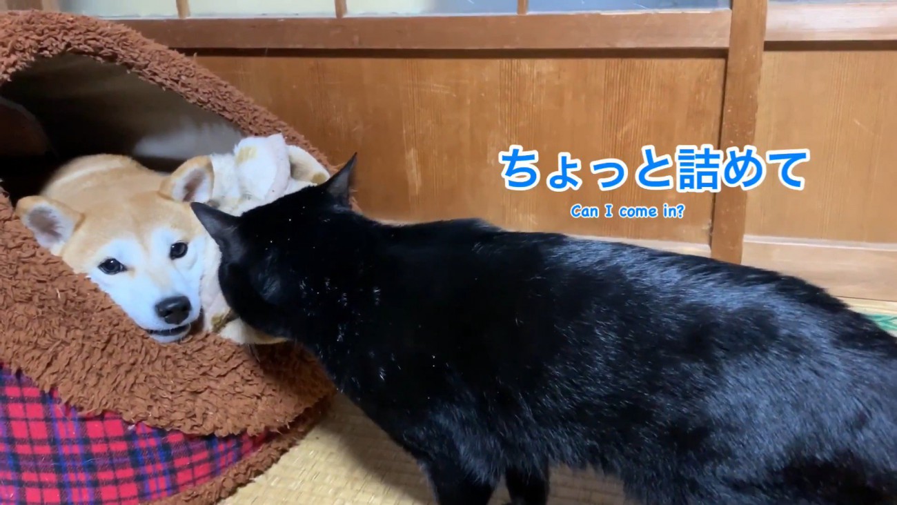 「僕も入りたいから詰めて」