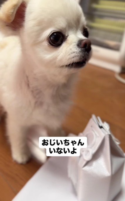 「おじいちゃん、いないよ」