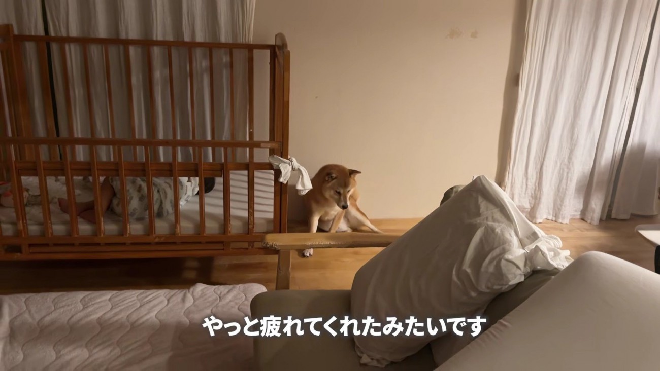 やっと寝てくれました♡