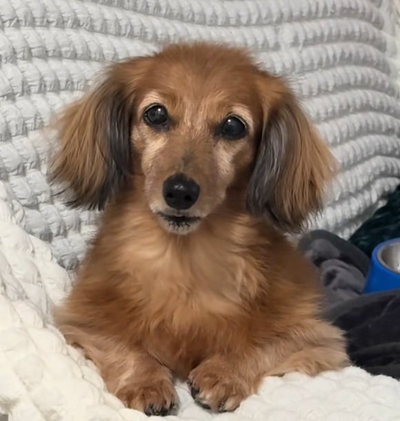 平常時のティナちゃん