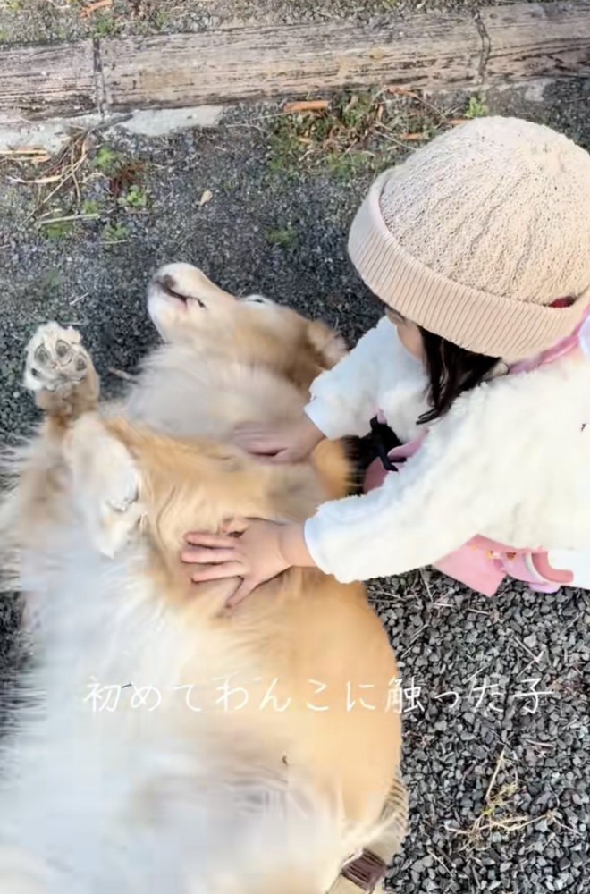 ナデナデ満喫中