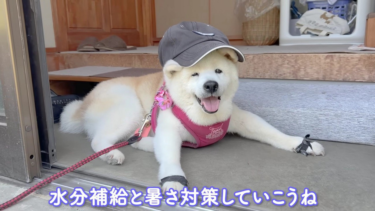 「準備できてますよ」