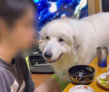 魚を食べると…