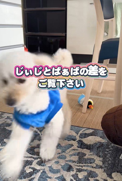 「おばあちゃん、帰ってきた！」