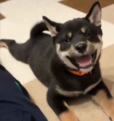 笑顔