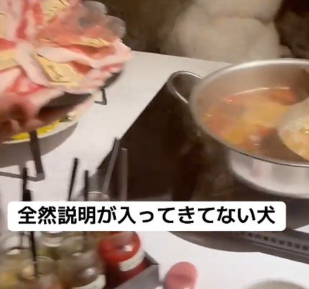 お肉の説明を聞いていたら…