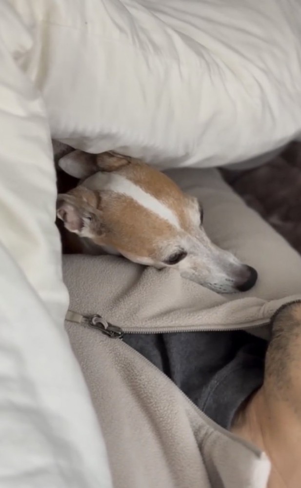 おやすみなさーい