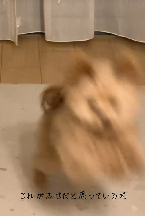 別バージョンの伏せ3