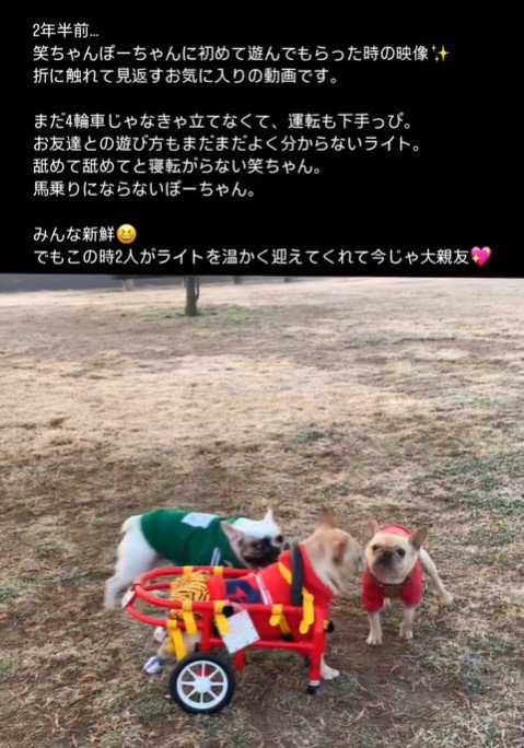 車椅子のライトくんとお友達