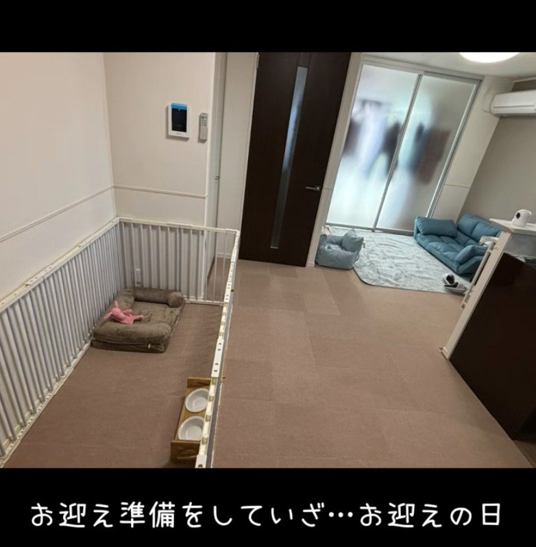 部屋を大改造！