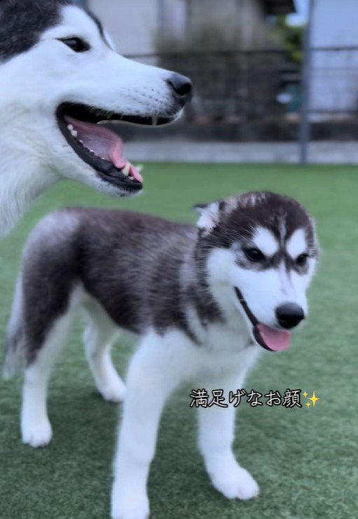 満足そうにニコニコ
