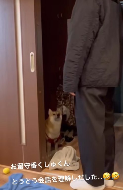 うなずき返す飼い主と柴犬