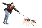 犬の引っ張り癖を直す対処方法