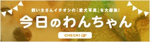 今日のわんちゃん