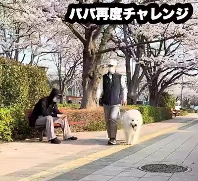 ガン無視するドレミちゃん