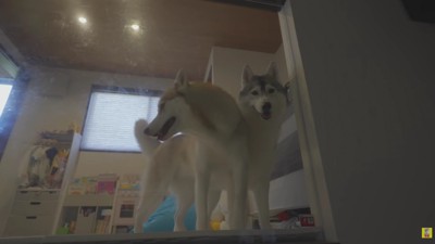 にこちゃんともんちゃん