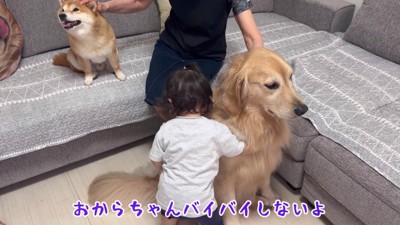それはおからちゃん！！