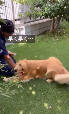 そら君と植木屋さんのふれあい5