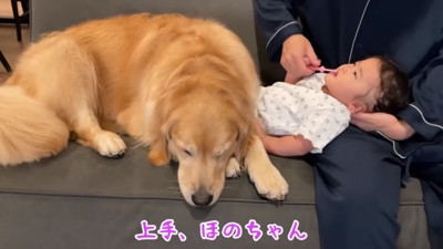 眠そうなおからちゃん