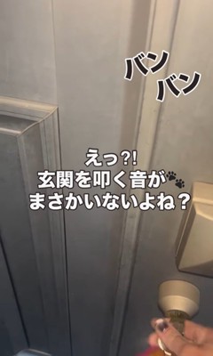 ゲートを破壊したリンツちゃん