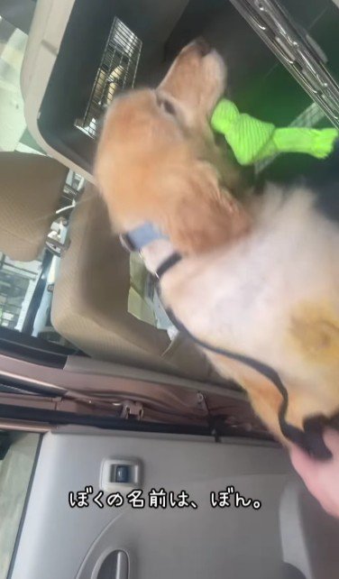 ボロボロでセンターへ