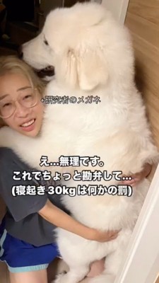 女性に抱っこされる犬