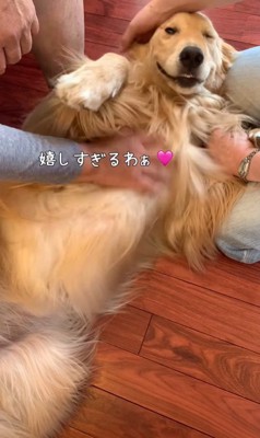 サンちゃんの熱烈歓迎7