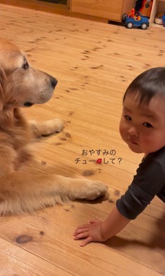 レアくんと赤ちゃんの寝る前の日課5