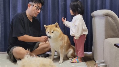 娘さんも起きてきた