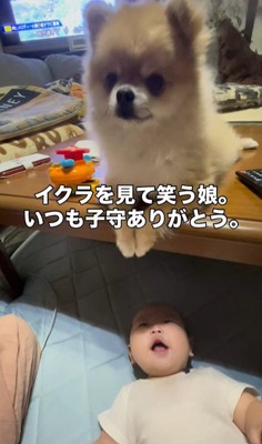 イクラちゃんと赤ちゃん