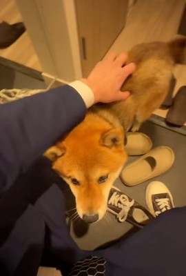 靴が脱げない飼い主さん