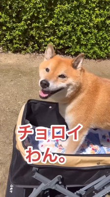 「作戦成功♪」とニッコリ