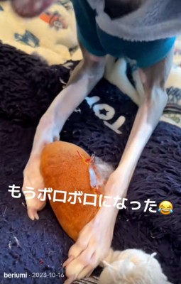 ボロボロになったおもちゃ