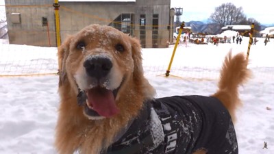 嬉しそうなジョイくん