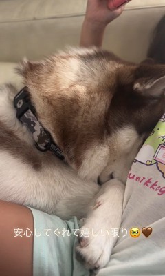 お姉ちゃんに甘えるウルくん3