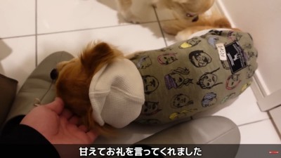 「ありがとう」を伝えてくれました♪
