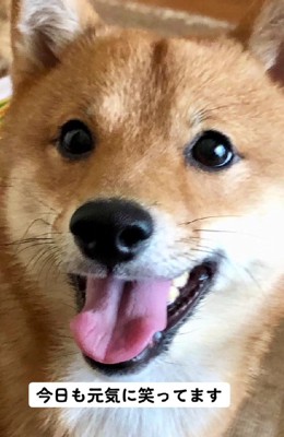 とっても幸せそう…