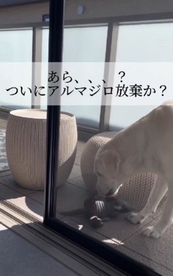 「一旦ここに置いて…」