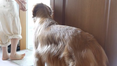 オヤツに釣られてお風呂場へ