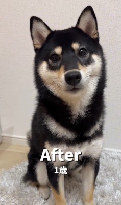 はるちゃんの成長5